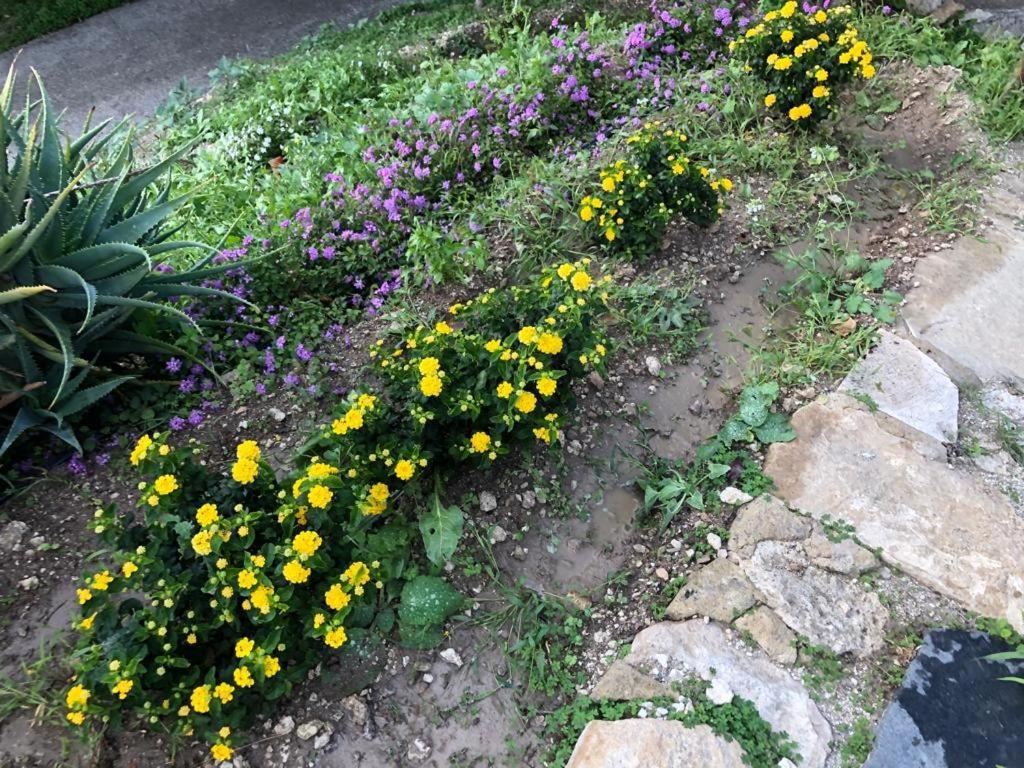B&B Tenuta La Puntara Caltanissetta Dış mekan fotoğraf