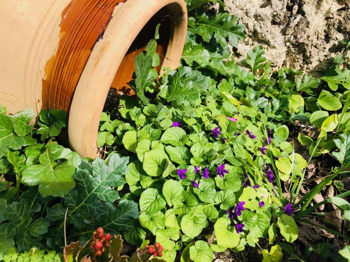B&B Tenuta La Puntara Caltanissetta Dış mekan fotoğraf