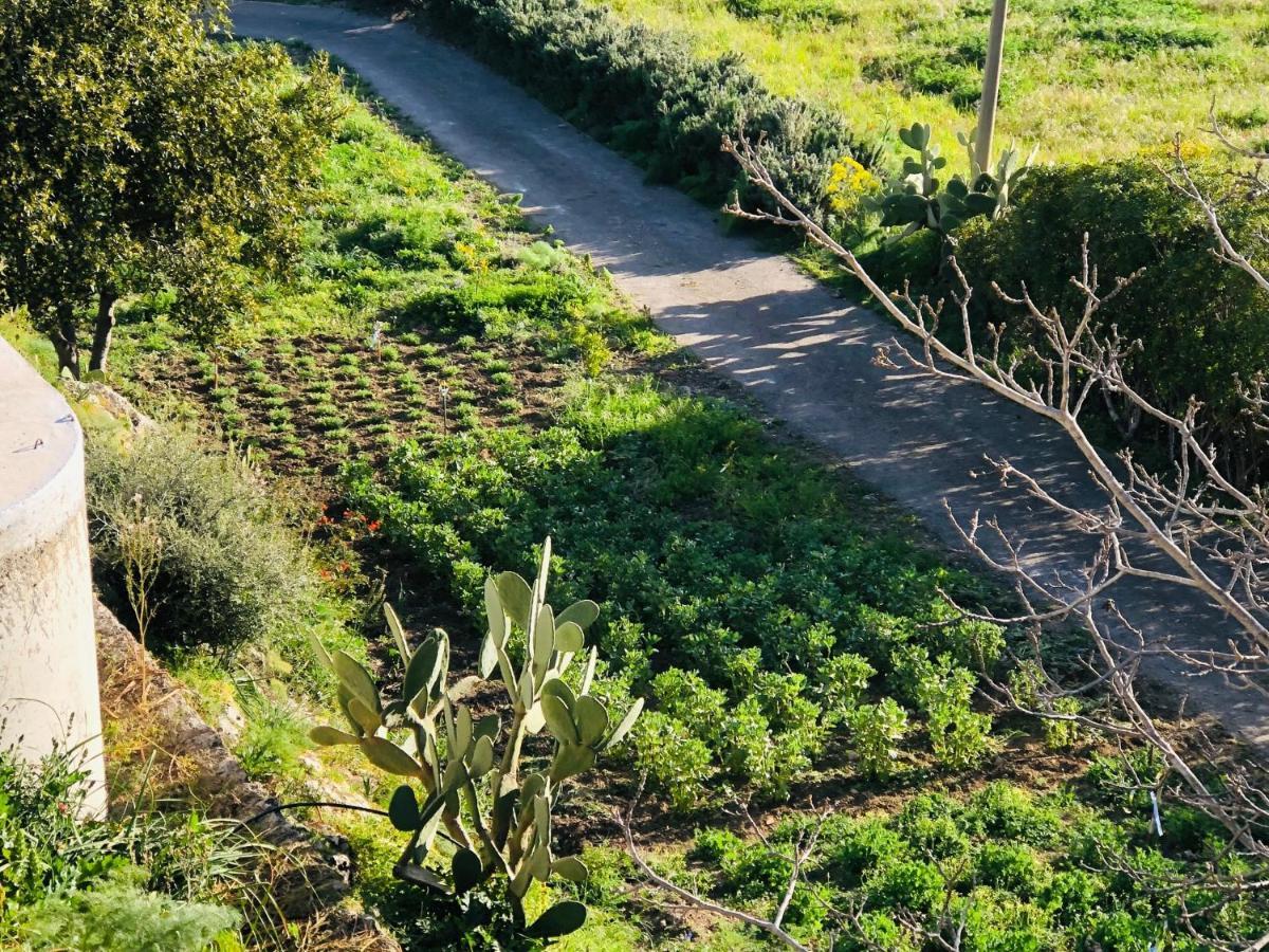 B&B Tenuta La Puntara Caltanissetta Dış mekan fotoğraf