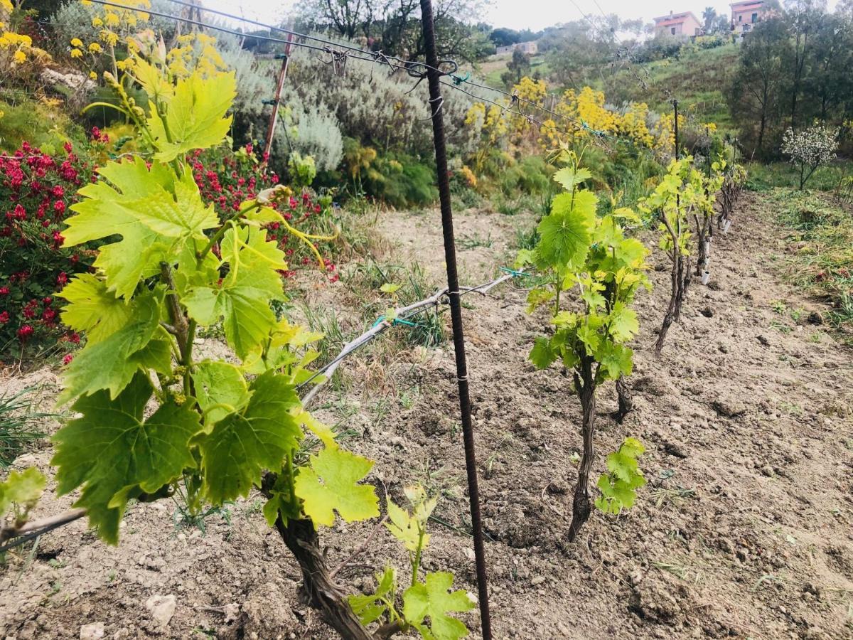 B&B Tenuta La Puntara Caltanissetta Dış mekan fotoğraf