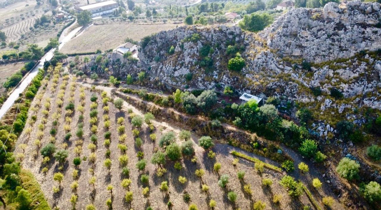 B&B Tenuta La Puntara Caltanissetta Dış mekan fotoğraf