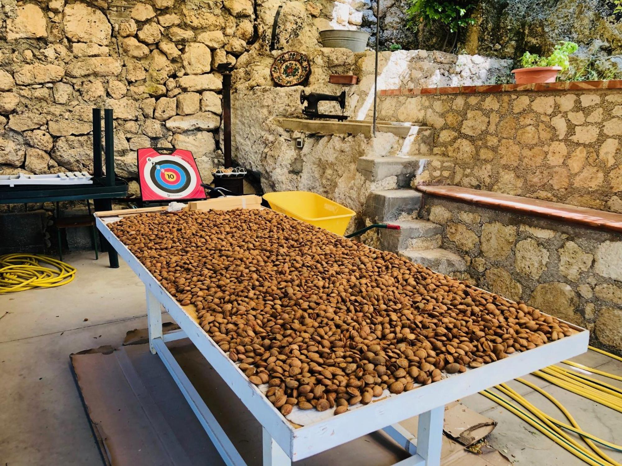 B&B Tenuta La Puntara Caltanissetta Dış mekan fotoğraf